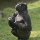 daniel schloemer - @tweety124 - Twitter