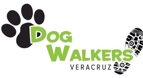 Paseos diarios recreativos para tus perros! atendemos la zona conurbada Veracruz-Boca del Rio, llamanos al 2931101