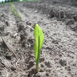 Agronome conseil et producteur agricole.