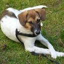 Julie Beer - @turntodespair85 - Twitter