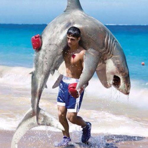 Teikigood's profile picture. 