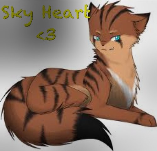 Warrior_Sky23's profile picture. Brown tom with dark brown stripes. Sun Clan warrior. Mate~ @SnowElf_Kit