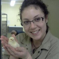 Kayla Price (@kaylaprice29) 's Twitter Profile Photo Kayla Price (@kaylaprice29) 's Twitter Profile Photo