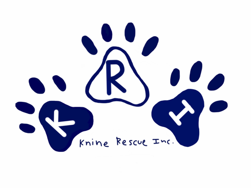 KnineRescue's profile picture. We are a small non-profit animal rescue based in Montgomery county MD. A virtual facility made up of fosters and volunteers. Originally founded in 2006.