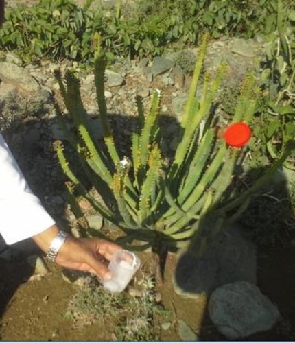 cvfggfgh's profile picture. 