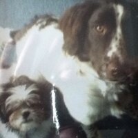 Keith Lewis (@keiththublewis) 's Twitter Profile