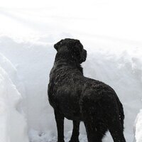 Lynn Hydo (@lhydo) 's Twitter Profile