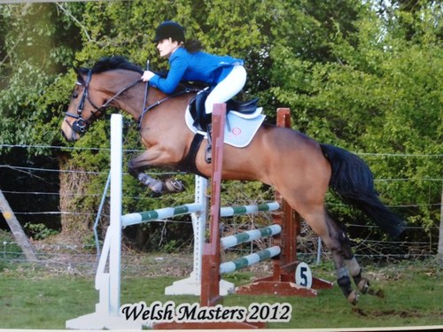 NikkiDole68's profile picture. 