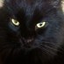 Janna Sorg (@snarkwit) Twitter profile photo Janna Sorg (@snarkwit) Twitter profile photo