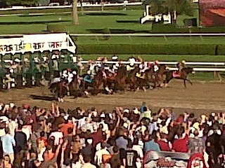 allenhalstead's profile picture. Horse Racing Enthusiast!
