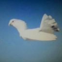 david palmero alpres - @alpres_david - Twitter