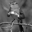 Derek harding - @taripin88 - Twitter