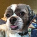 Melissa Erhard - @mhoneybeezz - Twitter