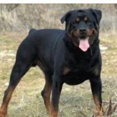 mandielenas's profile picture. 