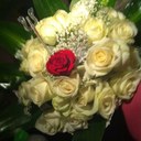 أسير بلا قيود (@0000_moon) Twitter