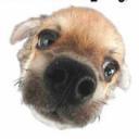 Kim Todd - @KimGeorgina - Twitter