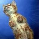 Alma Dolan - @vandauj - Twitter