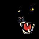 Rosa Dooley - @aexpryl - Twitter