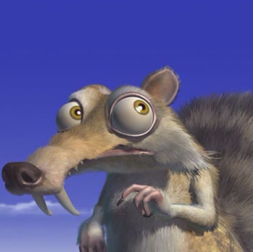 riskybusiness28's profile picture. 