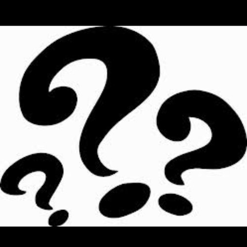 FactRiddleThis's profile picture. 