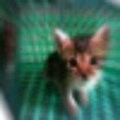 tellmehow2's profile picture. 