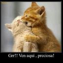 Luna Morrison  - @minimalvada89 - Twitter