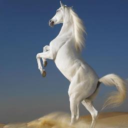 أيّه الشّاكي وما بك داء ** كن جميلا تر الوجود جميلا (( استغفر الله والحمدلله والله أكبر ))