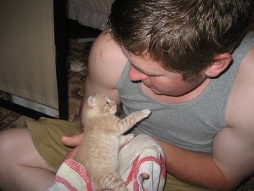 AudaciousOrion's profile picture. It takes one day to make a senator and ten years to make a worker.
Caligula: But I am afraid that it takes twenty years to make a worker out of a senator.