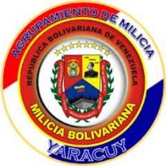 Dentro de esta nueva Fuerza Armada, se crea la Milicia Bolivariana, como un Cuerpo Especial, Organizado por el Estado Venezolano.