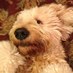 Barry (@barryb75) Twitter profile photo