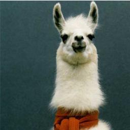 Do not expect much from a Llama. Co-Founder @BiggerInsideVR .