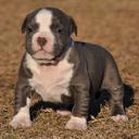 Genesis love - @genesis_lov - Twitter