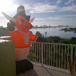 Avid sports (Texas Longhorn) fan, love the FL weather, big data & analytics.  Opinions are my own