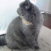 nora (@norannchi) 's Twitter Profile Photo