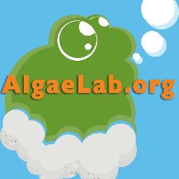 Grow Your Own Algae Superfoods and Biofuels! Let http://t.co/mNRumBc1 teach you how. Kits, live algae, online and in-person workshops.