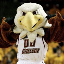 LittleBCThings's profile picture. Trayless in Lower since 1863.