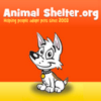 Animal Shelter (@animalshelter) 's Twitter Profile Photo Animal Shelter (@animalshelter) 's Twitter Profile Photo