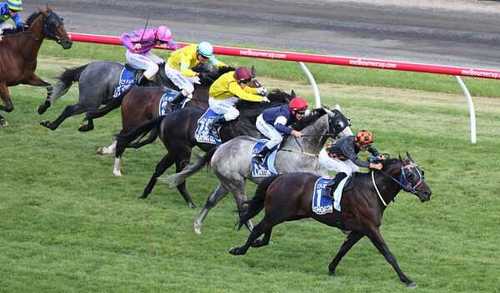 Pandamanha's profile picture. I can't describe myself in the space allowed, you will have to find out for yourself. Most of my opinions are other peoples.