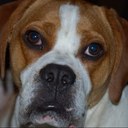 Pamela Fletcher - @PamelaPinder - Twitter