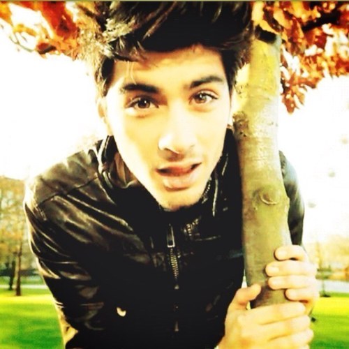 new account @zarrysfags