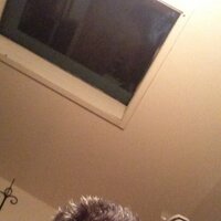 wayne (@waynehunger5483) 's Twitter Profile