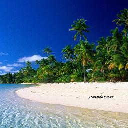 DandRResort's profile picture. **COMING SOON** D&R Paradise Island Resort  //RP ONLY//