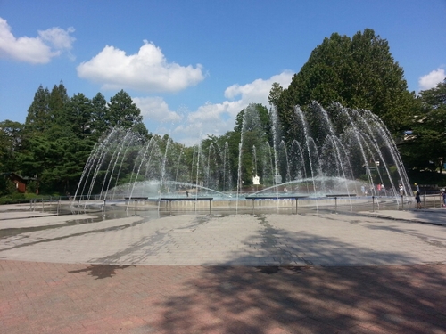 ceoyst87's profile picture. hi~