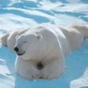 Sherry Bice - @BicevauSherry - Twitter