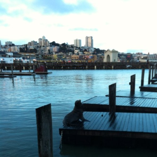 michellecolero's profile picture. 