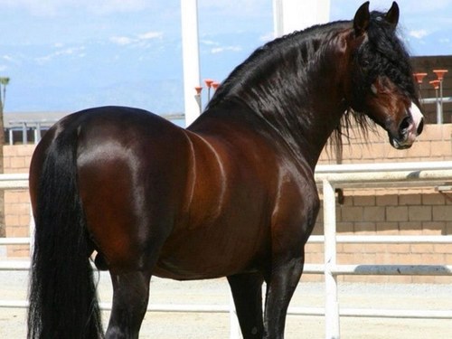 hollyg110's profile picture. 