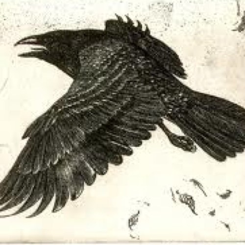 I am Raven, I carry the medicine of magic. Messenger of Great Mystery. Perhaps you see me in a dream, or are in need of my guidance.#SpiritAnimalGuide