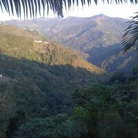 La Vikinga (@anitacgd) 's Twitter Profile