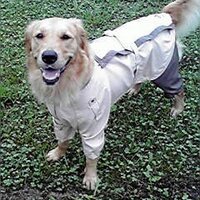 70 (@70) 's Twitter Profile