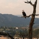 Marvin Hart - @moman970 - Twitter